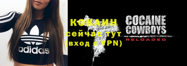спиды Новозыбков
