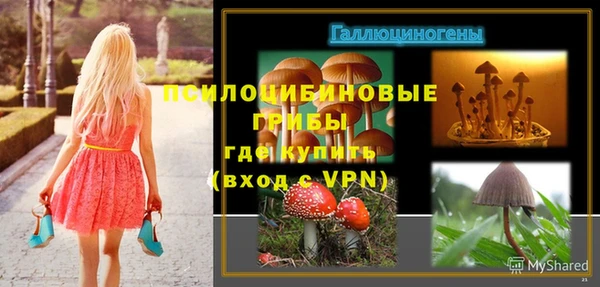 тгк Новодвинск